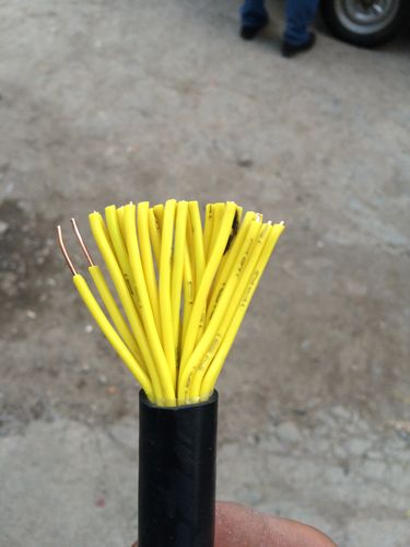 變頻電纜 ZR-BPYJVPX13R 3*10+3*2.5